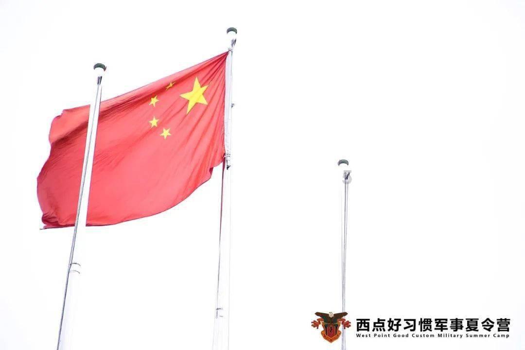 精灵的冒险之旅